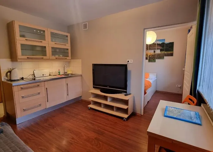 Prestige Park Mini Z Parkingiem Apartmán Krynica-Zdrój